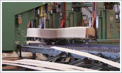 Lavorazione tronchi Lavorazione tronchi