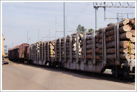 Tronchi alla stazione ferroviaria in arrivo